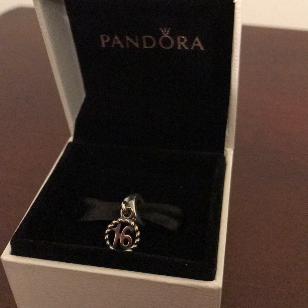 16 Pandora Birthday Bracelet Charm
